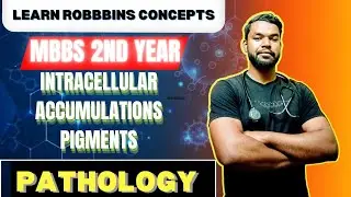What is calcification || Intracellular accumulation || hyaline || lipofuscin