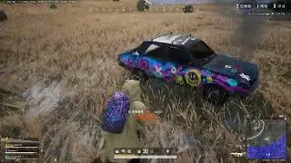 【PUBG】泫弟吃雞精彩畫面34