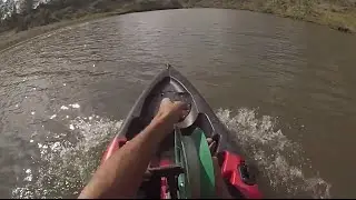 Shark Tows Kayak At High Speed 27-10-13 Shark Fishing Brisbane River Boys Style