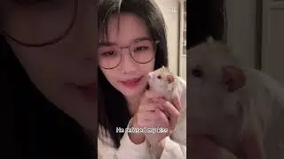 [Auto Eng Sub] [Pocket48 Live] GNZ48 - Xu Chuwen [23-03-2024]