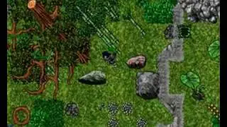 Cippey OTServ Trailer
