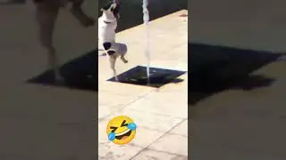 respect video😎. #viral #respect #bitcoin #elonmusk #cryotocurrency #crypto #carryminati #funny