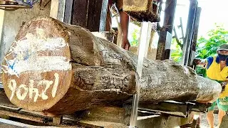 HUNDREDS OF YEARS OLD!! The longest Perhutani wood, full grain, at the sawmill 