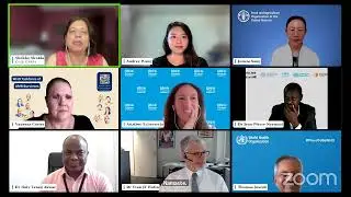 Global Media Briefing in lead up to 79th UNGA High-Level Meeting on Antimicrobial Resistance (AMR)