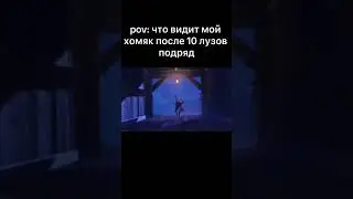 что видит мой хомяк после 10 лузов 