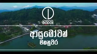 CHENARA DODGE ~ Kandy POP-UP Store.