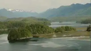 Toquaht Wildlife Safari