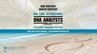 Behind the people of DNA Labs International