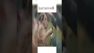 humanity whatsapp status video 🔥 humanity emosonal status 🔥🔥 empowering humanity 🔥🔥 humanity World01