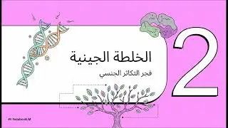 التكاثر في الحيوان 