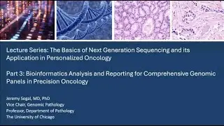 Bioinformatics Analysis and Reporting for Comprehensive Genomic Panels in Precision Oncology