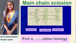 Main chain scission (subtopic of radiation biology)