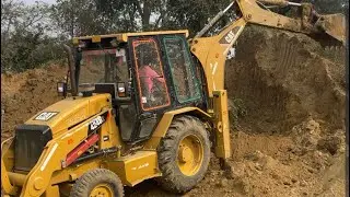 Live cat machine