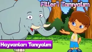 Hayvanları &Ouml;ğreniyoruz 🐘 Filler Okul &Ouml;ncesi &Ccedil;izgi Film