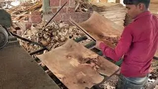 How to sawmill plywood peeling machine working process 🤔🪵| Factory wood production 👌🌲|
