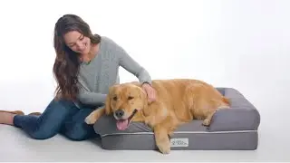 Upgrade Your Dog's Sleep with PetFusion Orthopedic Bed