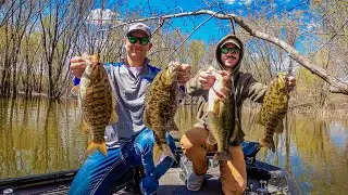 Mega Bag Of Mississippi River Bass In A Tournament!!!