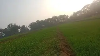 Babita Yadav is live!