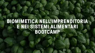 Biomimetica nell&rsquo;imprenditoria e nei sistemi alimentari &ndash; Bootcamp