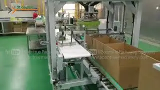 End of line packing solution for carton packed into box - Soontrue Packaging Solutions