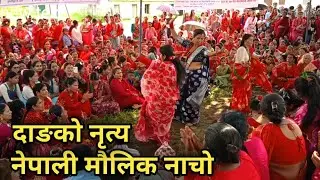 Nepali Jhapre dance song viral dang || Dangko nacho 2025 | New song _ Kharchawa Tulsipur @Tookilight