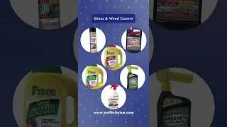 Weed-free and worry-free! Get the best Grass & Weed Control essentials at SwiftChoice! #shorts  #usa