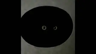 Mysterious Black Cat - Eyes in the Darkness #shorts #cats #blackcat