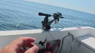 アジ釣って泳がせ