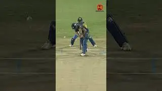 Exceptional LBW dismissal!#MPL2024 #EagleNashikTitans #HariSawant #LBW #Wicket #Final