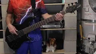 Big & Rich - No Sleep (Bass Cover)