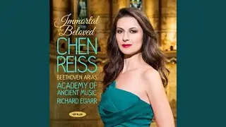 Fidelio, Op. 72 / Act I: Aria 