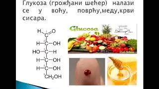 Ugljeni hidrati