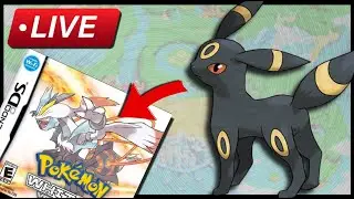 LIVE: Pokemon White 2: Umbreon Only Solo Run *Challenge Mode*