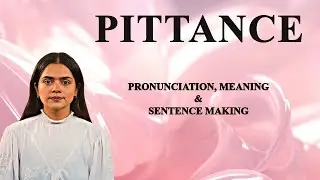 Pittance - Meaning_&_Pronunciation_Word_World_Audio_Video_Dictionary