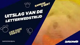 Samson & Gert - Uitslag Liedjeswedstrijd (Veronica)