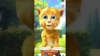 Ginger cat eating food 😋 # #cat #shortsvideo #catsoundstoattractcats #gingercat
