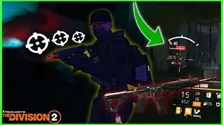 AMAZING ACCURACY REMASTER FOR THIS EXOTIC! | The Division 2 Build Video