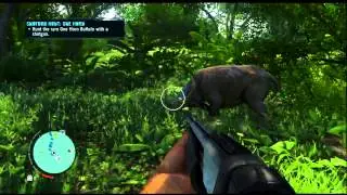 Far Cry 3 Rare Animals ( ONE HORN BUFFALO )