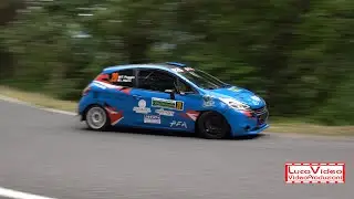 2&deg; Rally Valle Arroscia 2025 Poggio-Migone 208 R2 - Passaggi esterni
