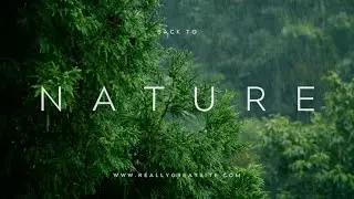 beautiful nature scenery