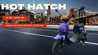 Lantu factory--2025 pedal assist electric moped scooter--1000w hub motor,48v 20ah lithium battery