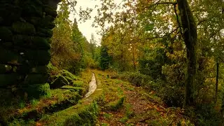 Cabeceiras de Basto - Moinhos de Rei || Levada da Víbora - PORTUGAL