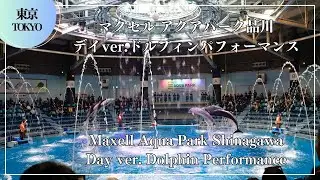 マクセル アクアパーク品川 ドルフィンパフォーマンス Maxell Aqua Park Shinagawa Dolphin Performance Ι 東京 水族館 イルカショー Aquarium