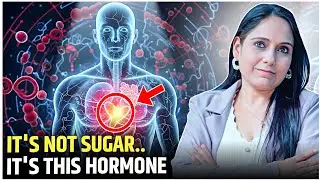 Real Cause of Diabetes | Why Diabetes Happen?
