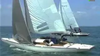 National Requin 2010