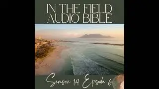 Finding Redemption in Galatians: Paul's Final Words on Spiritual Freedom