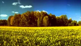 Fara Toga Man - The Gardener - Livejam - 2011