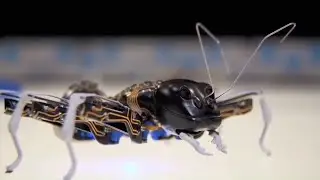 Robots are on another level, Boston dynamics most amazing, Boston robots that are another level