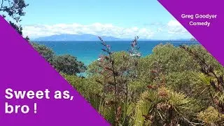 WANNA SPEAK NZ ENGLISH ? NO WUCKING FORRIES !