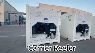 Keep it Cool with our 10ft Carrier Reefer Container! ❄️🚛 #refrigeration  #shippingcontainer